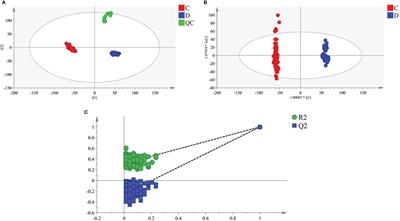 Integrative Analysis of Metabolomics and Transcriptomics Data Identifies Prognostic Biomarkers Associated With Oral Squamous Cell Carcinoma